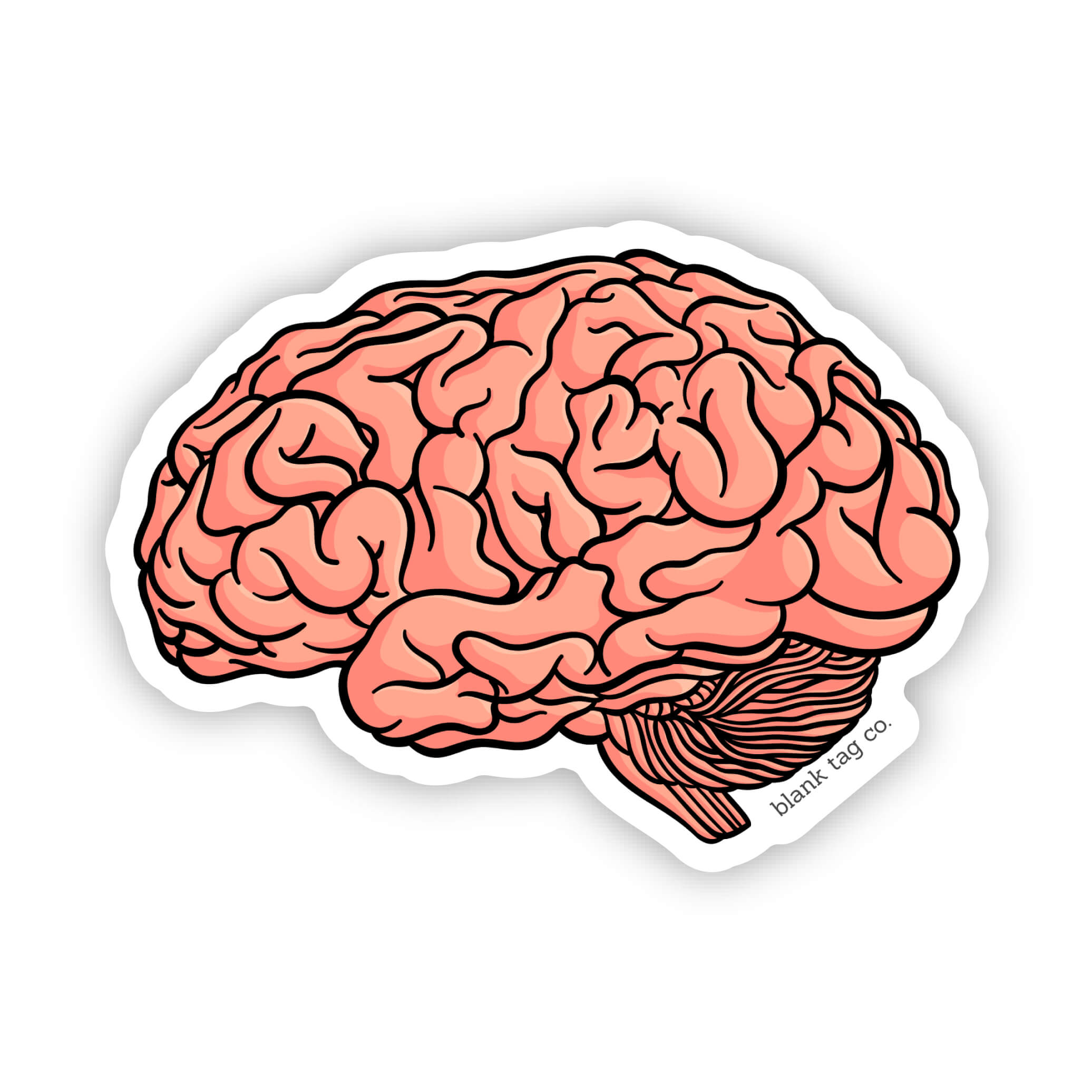 Blank Tag Co.® Anatomical Brain Waterproof Sticker