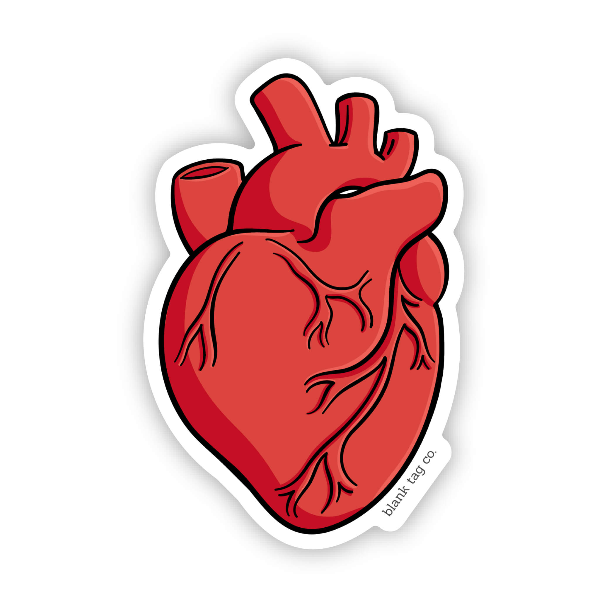 Blank Tag Co.® Waterproof Sticker - Anatomical Heart
