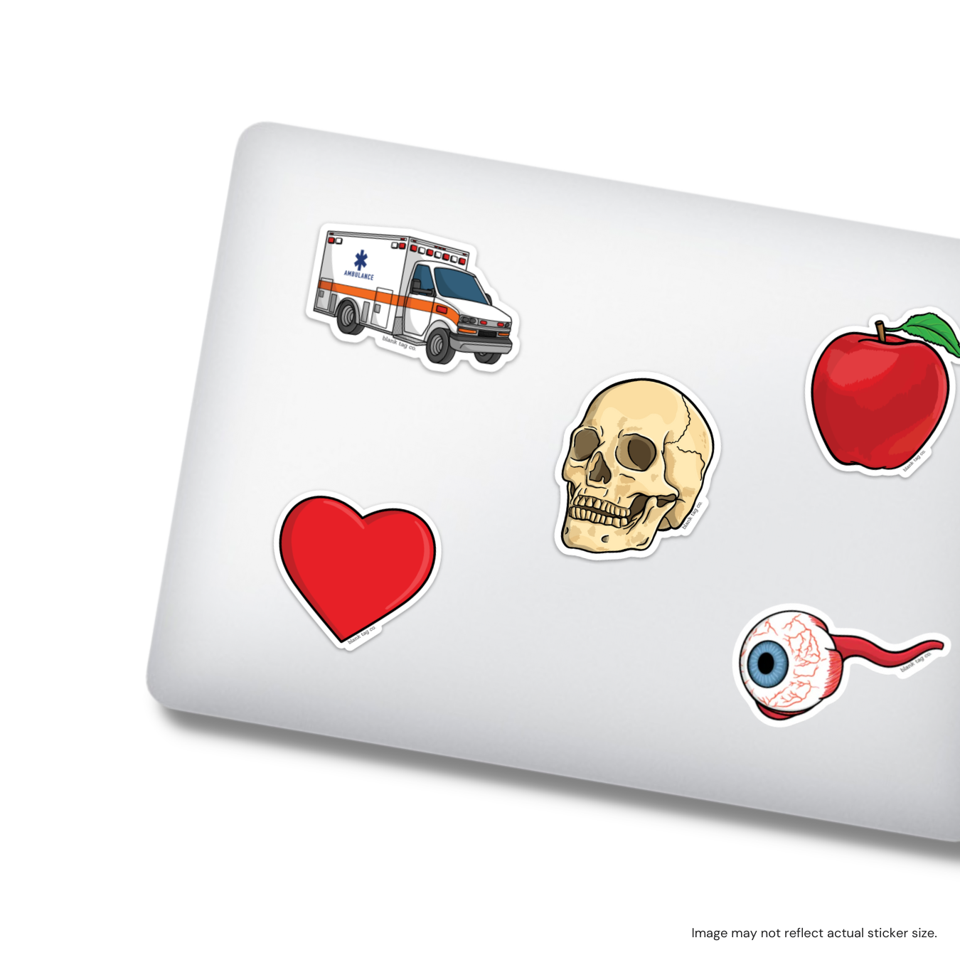 The Anatomical Skull Sticker