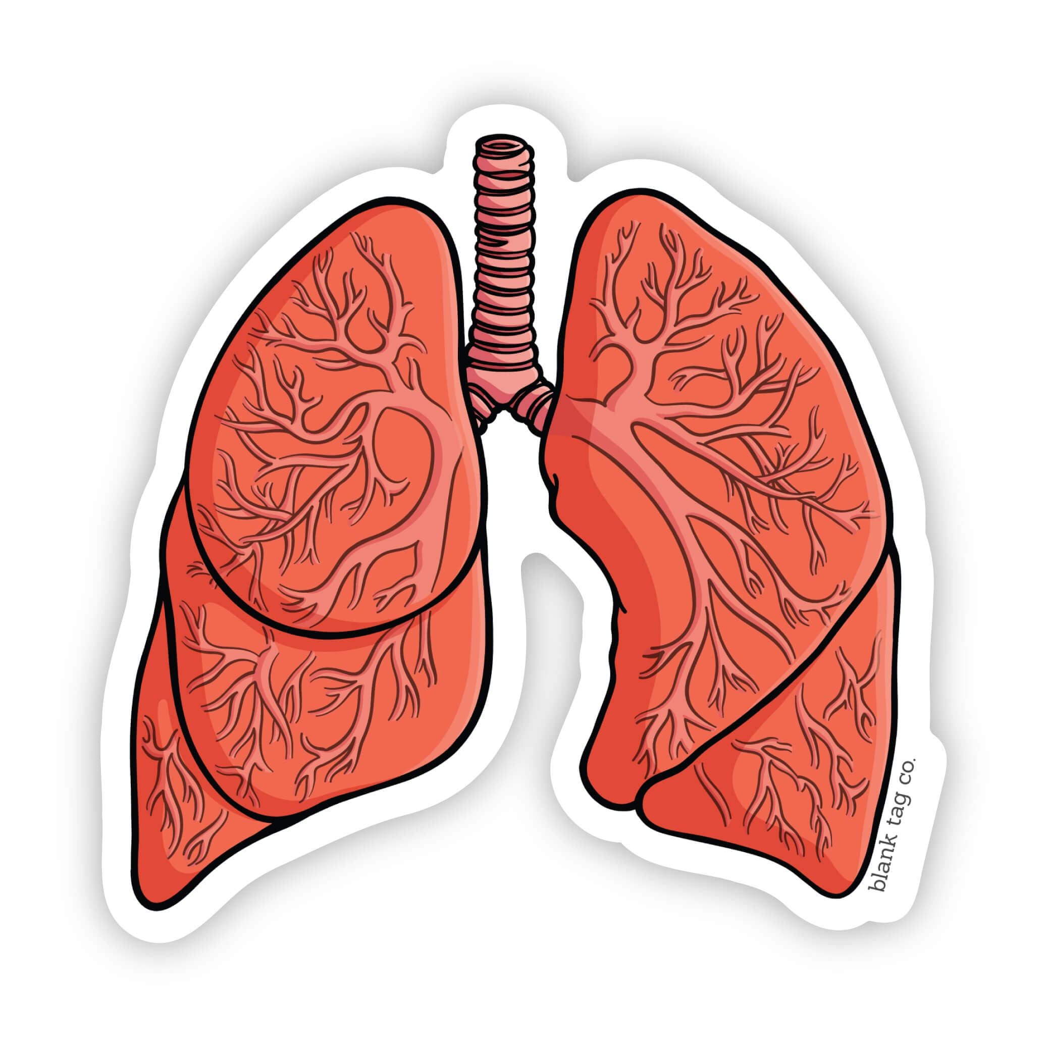 The Anatomical Lungs Sticker