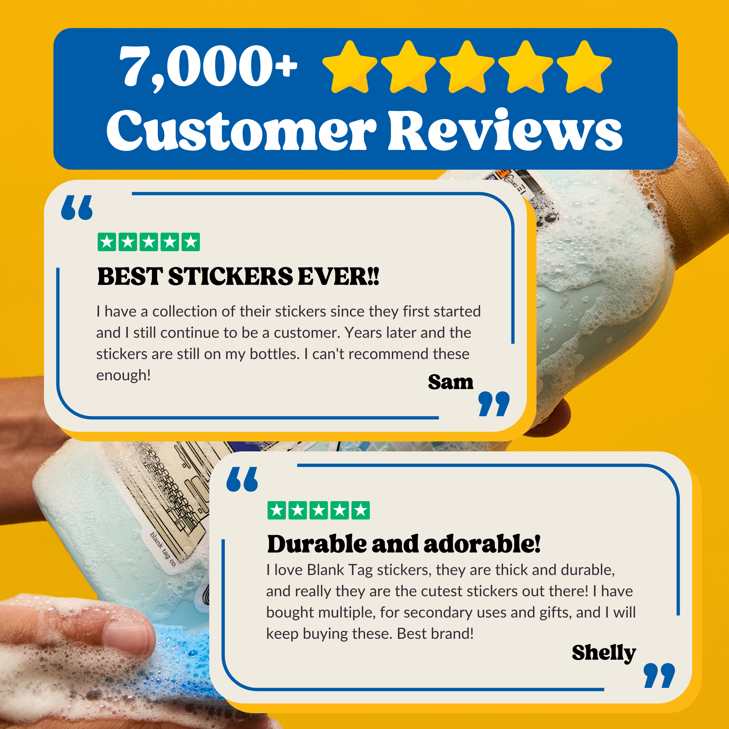 Blank Tag Co.® Treasure Chest Waterproof Sticker