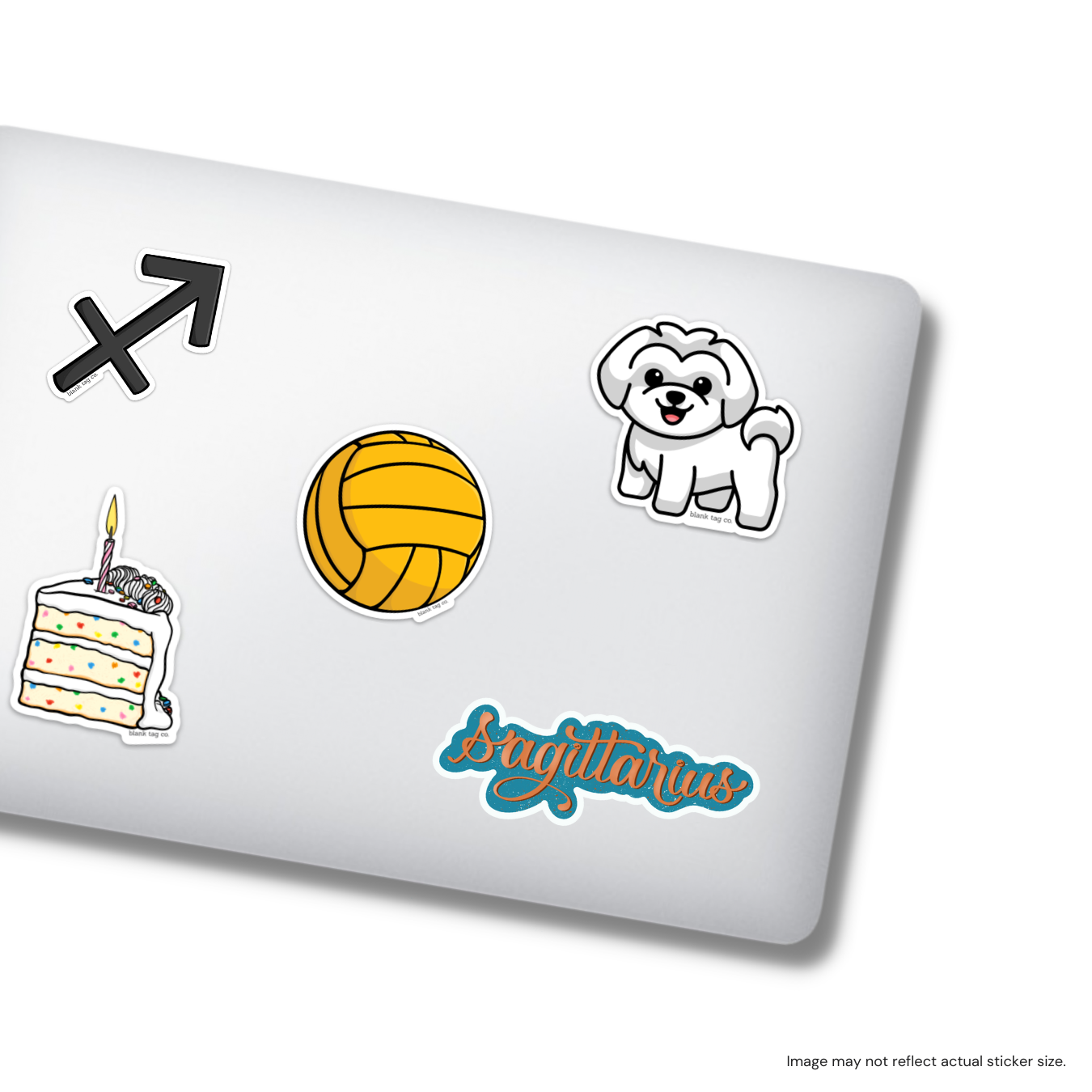 The Water Polo Ball Sticker