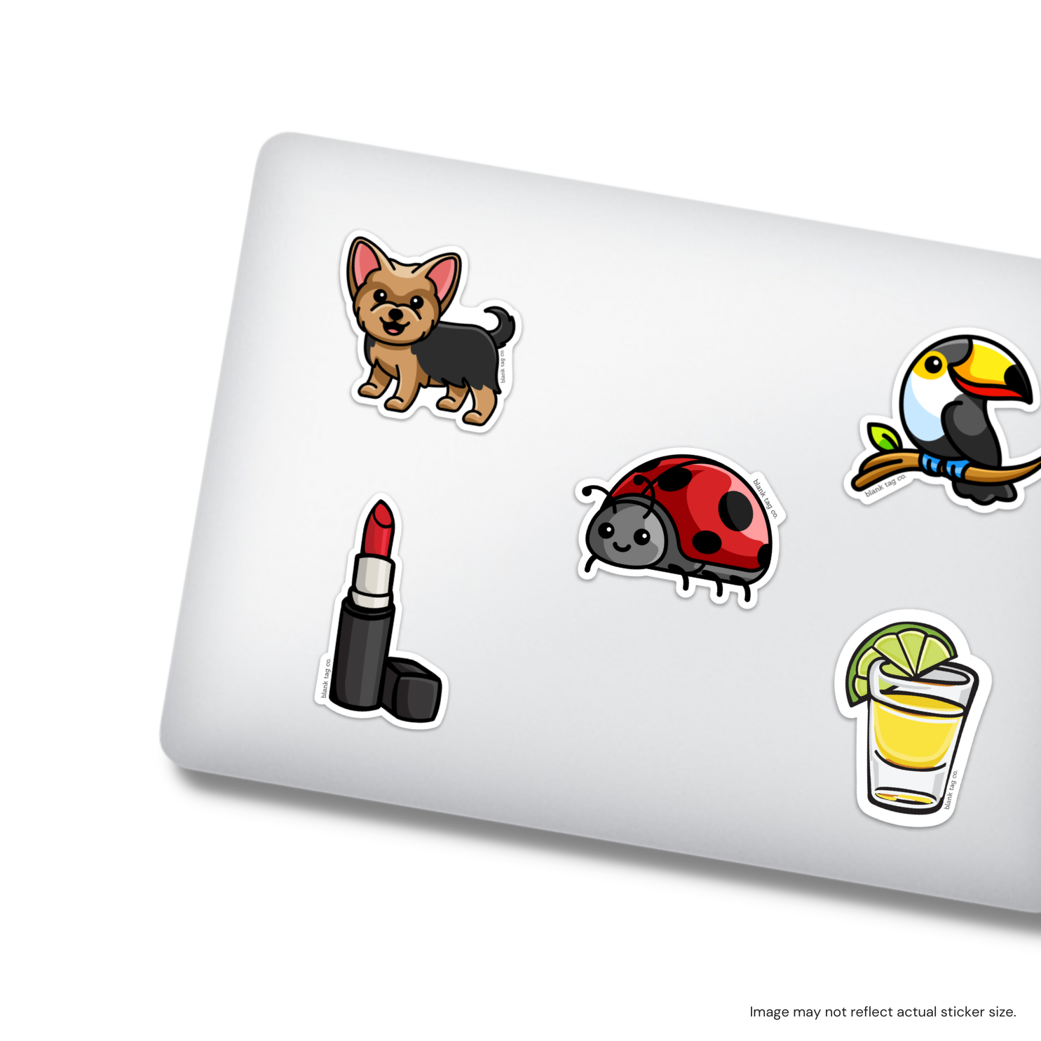 The Toucan Sticker