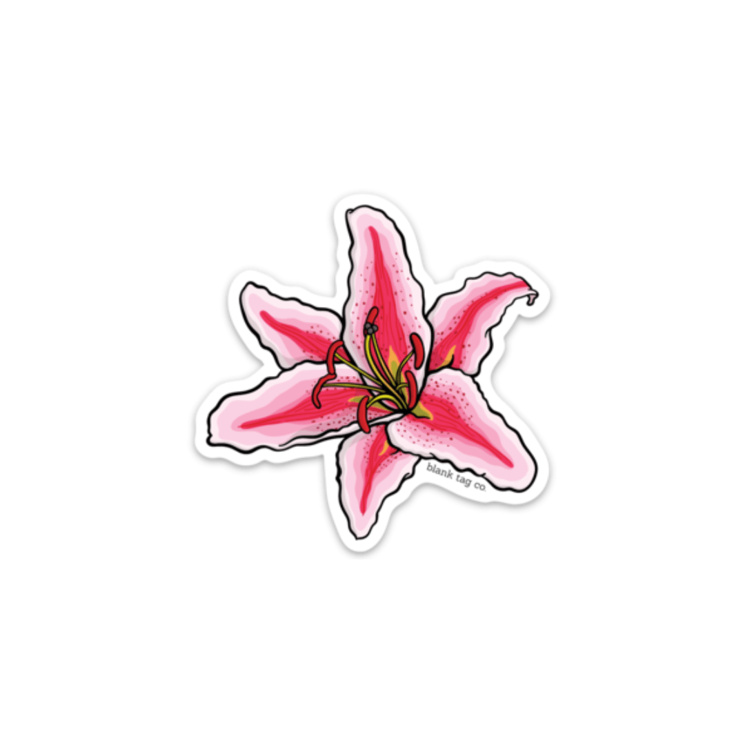 The Stargazer Lily - Product Image