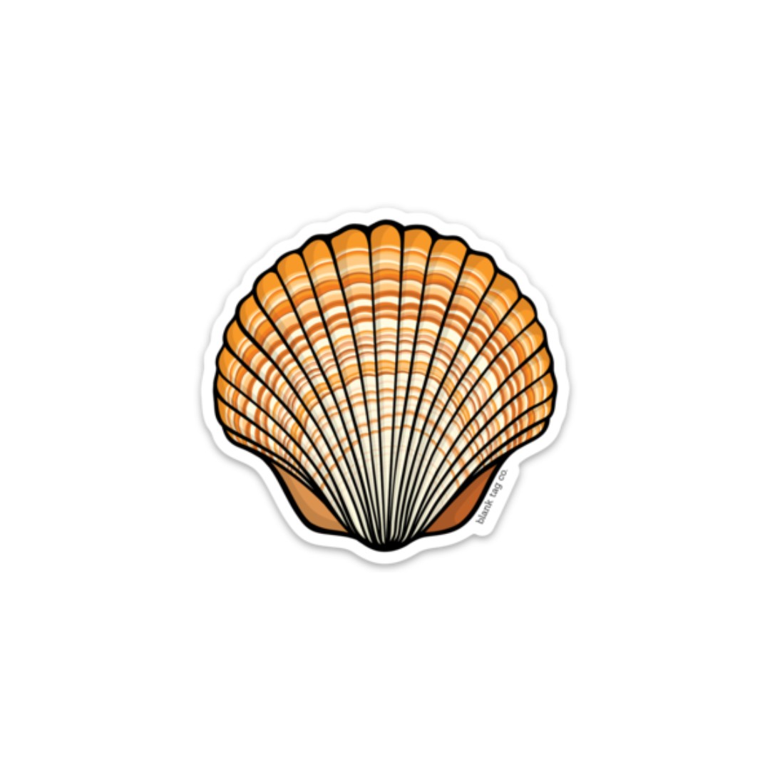 The Seashell Sticker